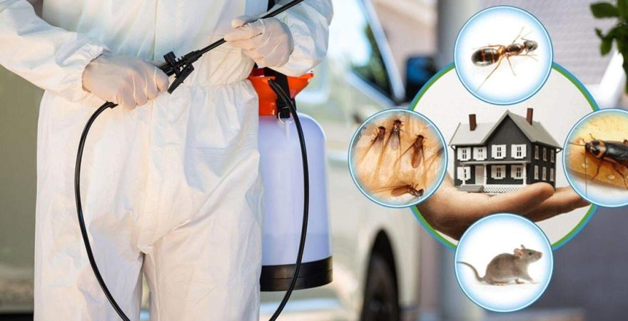 Keskin Böcek İlaçlama