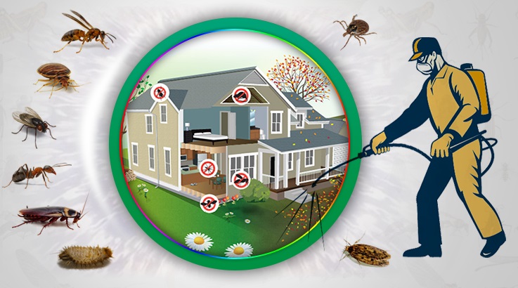 Keskin Böcek İlaçlama