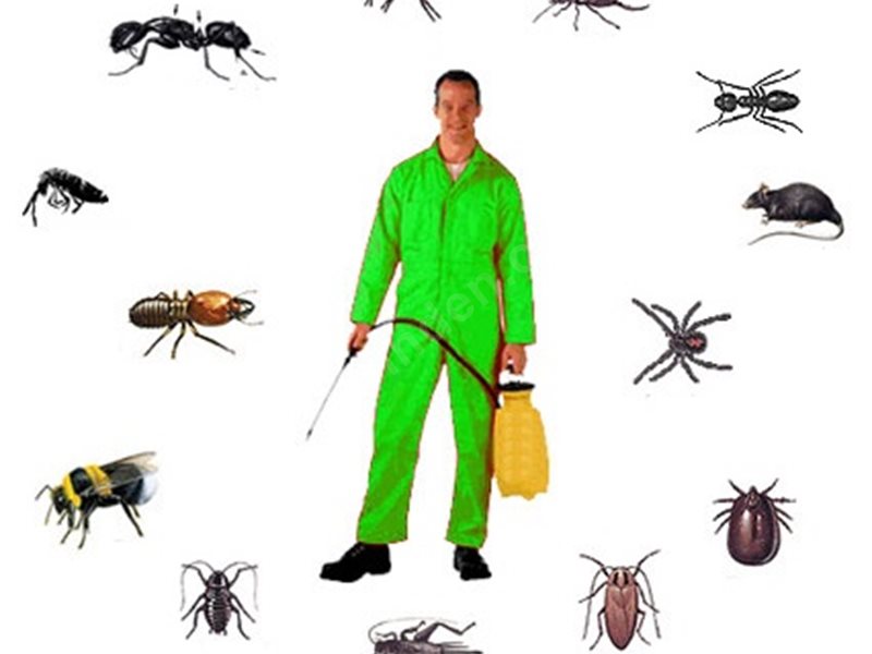 Keskin Böcek İlaçlama